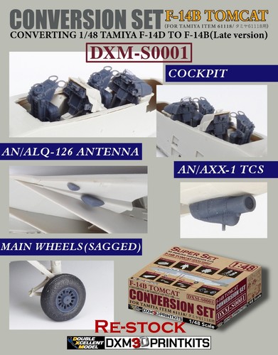 Dxm 14b tomcat - dxm, f-14b