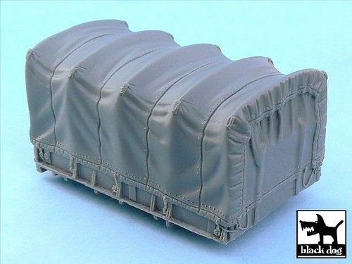 Black dog cargo bay - dog,